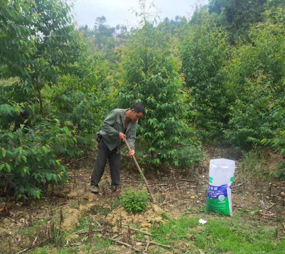 原来科学施肥是有方法的！ 广西首控生物科技 